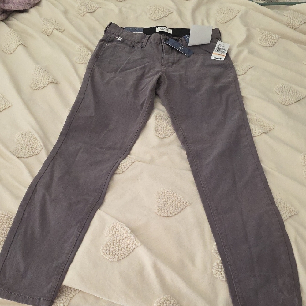 Gray Women’s Slim Jeans NWT SZ 2